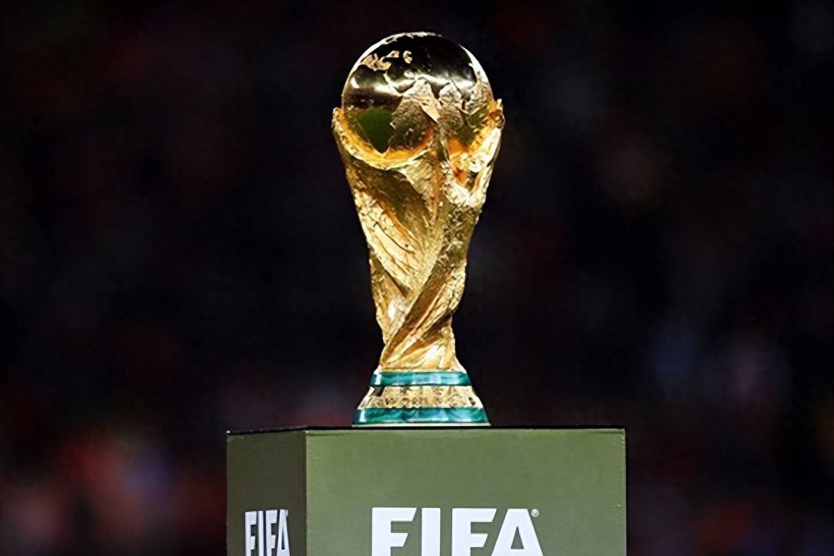 他可作为更 他可作为更